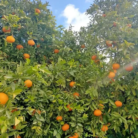 Villa Ana Con Piscina Villa